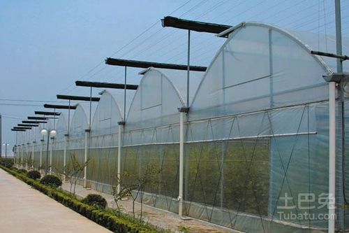 匠心筑梦，花开满棚——优质花卉钢架大棚厂家推荐指南