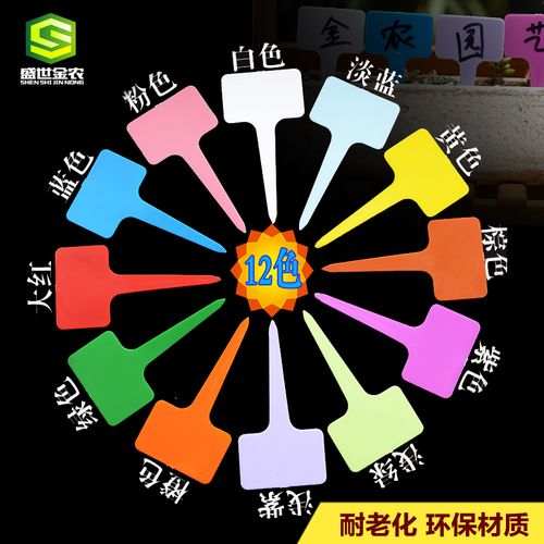 工厂直营多肉植物塑料花卉插地牌 为您的园艺空间增添专业与色彩